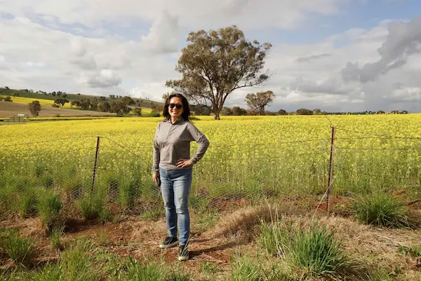 Canola (2)